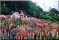 A riot of colour in Storybook Glen, Maryculter