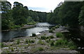 NZ2947 : River Wear at Finchale Priory and Cocken Wood by Mat Fascione