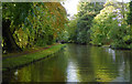 Canal south-east of Little Haywood in Staffordshire