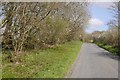 Road between Beaminster Down and Toller Down