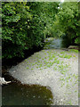 The Afon Aeron near Tal-sarn in Ceredigion