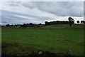 NZ0614 : Farm land near the Abbey by Bob Harvey