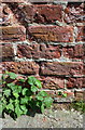 Benchmark on outbuilding at Prospect House