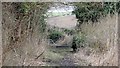 Bridleway leading from Longhedge Lane to Newboundmill Lane