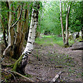 Byway to Tal-sarn in Ceredigion