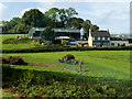 Farm above Lough Shore Road