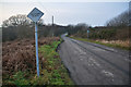 North Devon : Country Road