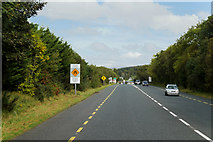 G9373 : The N15, towards Laghey by David Dixon
