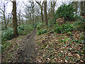 Path in the woods,  St Ives Estate