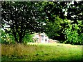 The Towers, a Glimpse Through an Overgrown Garden