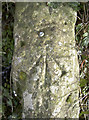 Rivet benchmark on the Wansdyke