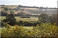 The lower Fowey valley