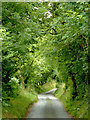 Narrow Lane north-west of Trefilan in Ceredigion