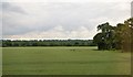 SU6269 : Field, woodland edge by N Chadwick