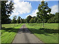 Driveway from Lewcombe Manor