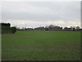 Vicarage Farm seen from Southfield Lane