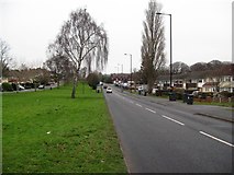 SP0896 : Sutton Oak Road northwards - Sutton Coldfield, West Midlands by Martin Richard Phelan