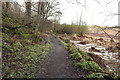 Path to Auchans Castle