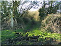 Footpath near Windmill Farm