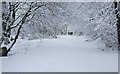 Snowy day at the Craigdhu Wedge