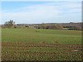 SP0168 : Field View From Hewell Lane Near Tack Farm (2) by Roy Hughes