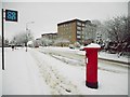 Stockiemuir Avenue in the snow