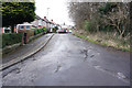 Cat Lane, Hang Bank Wood, Sheffield