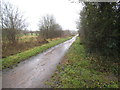 Path in Epping Forest, Chingford