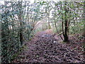 Llwybr Cyhoeddus / Public Footpath