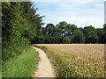 Permissive path towards The Spinney