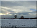 SE4084 : Winter in Thornton Park by Chris Heaton