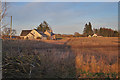 Houses near Balgarrock