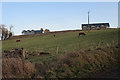 New Houses at Balbinny