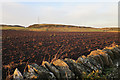 Drystane Dyke and Ploughed Land