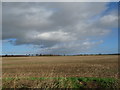 Field Near Hatton Rock