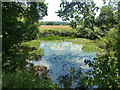 Pond at the junction