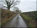 SJ8517 : Along the lane towards Bradley by Richard Law