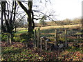 Llwybr ger Aberdeunant / Path near Aberdeunant