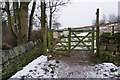 SK3183 : Path at Thryft House, Sheffield by Ian S