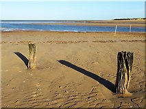 TF7544 : Two old posts on Titchwell beach, Norfolk by Richard Humphrey
