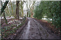 Ivy Cottage Lane towards Forge Dam Park