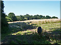 Field north of Writtlepark Wood