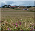 Crimdon House Farm near Hartlepool