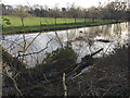 SP2965 : Debris in the River Avon, southeast Warwick by Robin Stott
