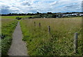 NZ4539 : Path to Blackhall Colliery Industrial Estate by Mat Fascione