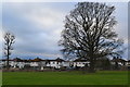 Houses backing on to Danson Park