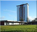 High rise flats on Nitshill Road