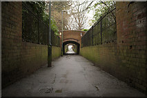 SP3265 : Mill Passage, Jephson Gardens by Mark Anderson