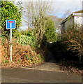 ST1379 : Lane from Woodfield Avenue to Taff Terrace, Radyr, Cardiff by Jaggery