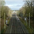 From Peover Lane Bridge